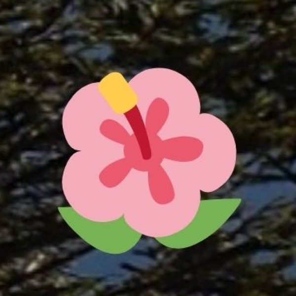 Attend the Nauchandi Mela – Meerut’s Grandest Festival