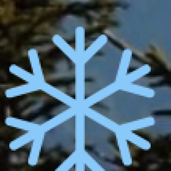 Seasonal Experiences