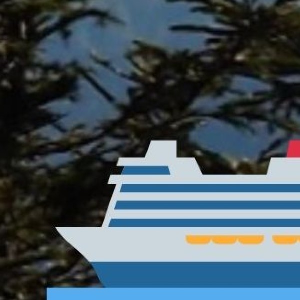 Backwater Cruise from Marine Drive or Kumbalangi