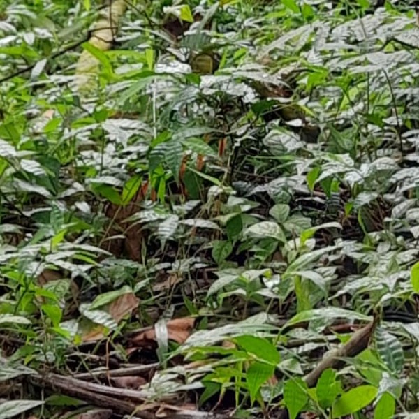 Top Activities & Experiences