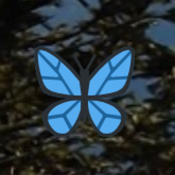 Trekking & Hiking Adventures