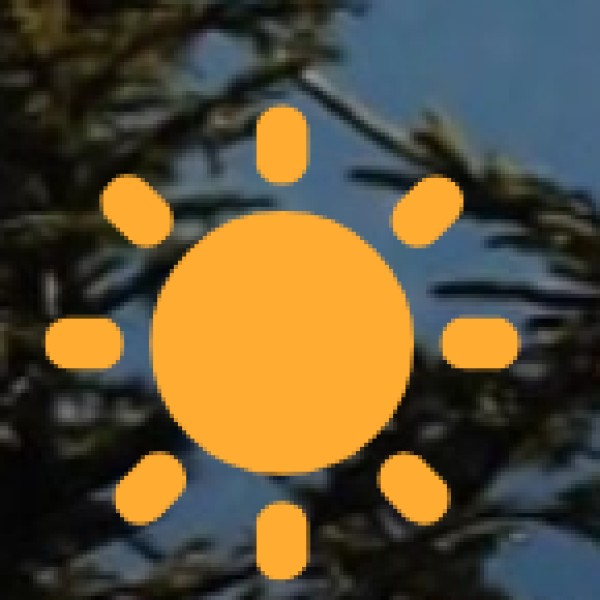 Take a Morning Walk at Moti Jheel