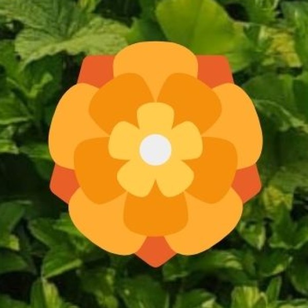 Scuba Diving & Snorkeling