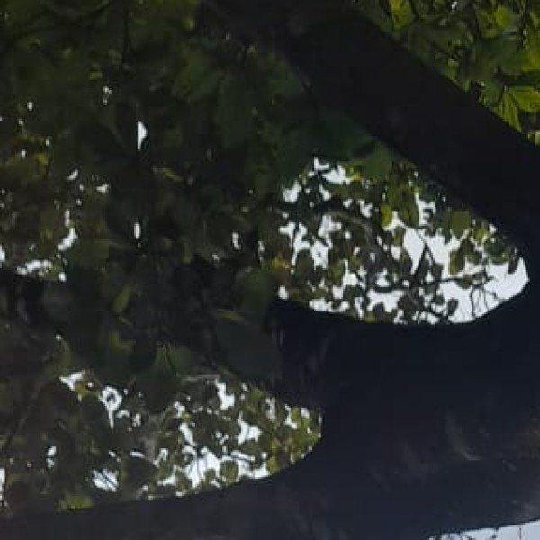 Top Activities & Experiences