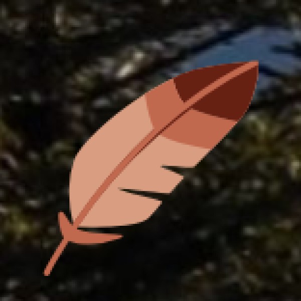 Enjoy a Mughlai Food Tour in Agra