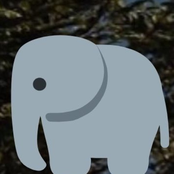 Meet Elephants at Konni Elephant Camp