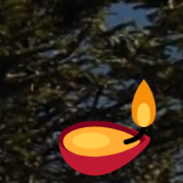 Offer Prayers at the Historic Augharnath Temple