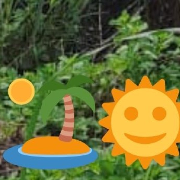 Watch the Sunrise at the Taj Mahal