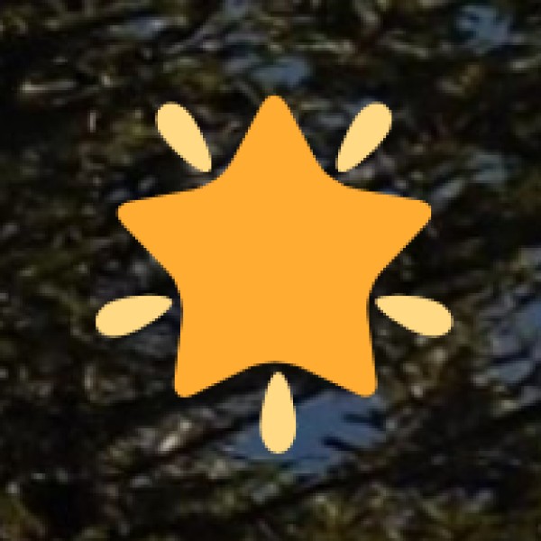 Meerut’s Famous Tandoori Chicken – A Must-Try