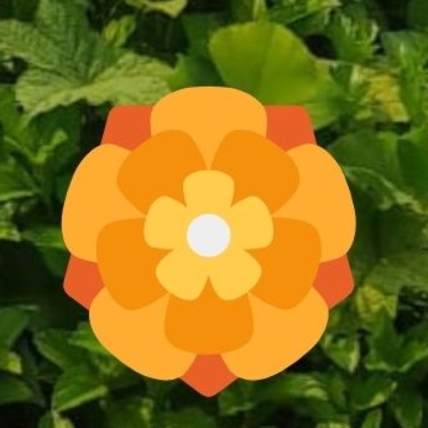 Mahagun Metro Mall – A Complete Shopping & Fun Destination