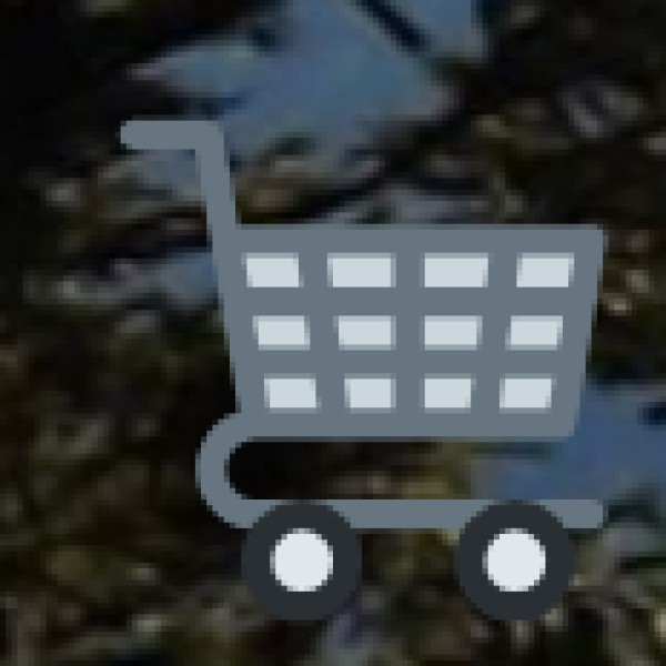 Best Shopping Locations in Idukki