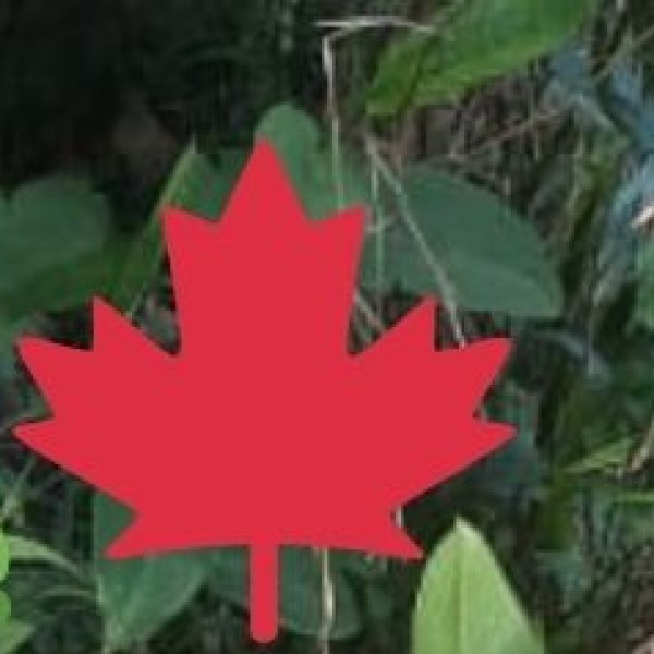 Sadar Bazaar – The Leather Goods Hub