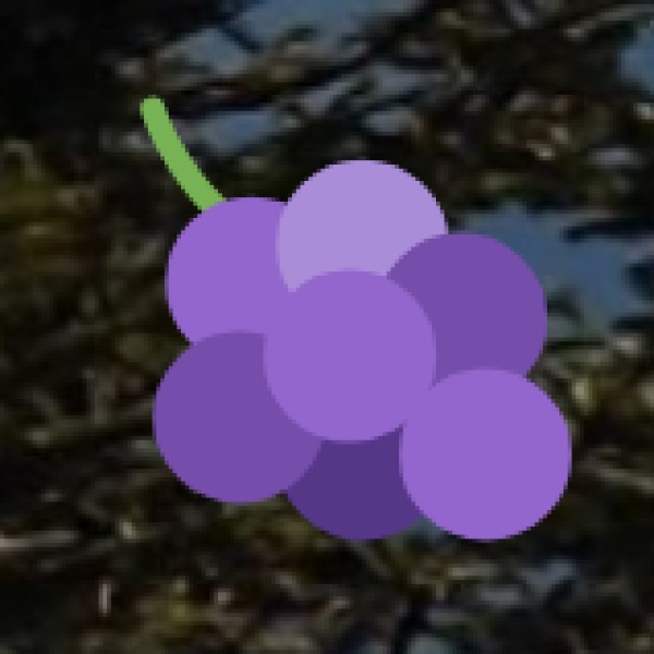 Subhash Bazaar – The Best Place for Silk & Sarees