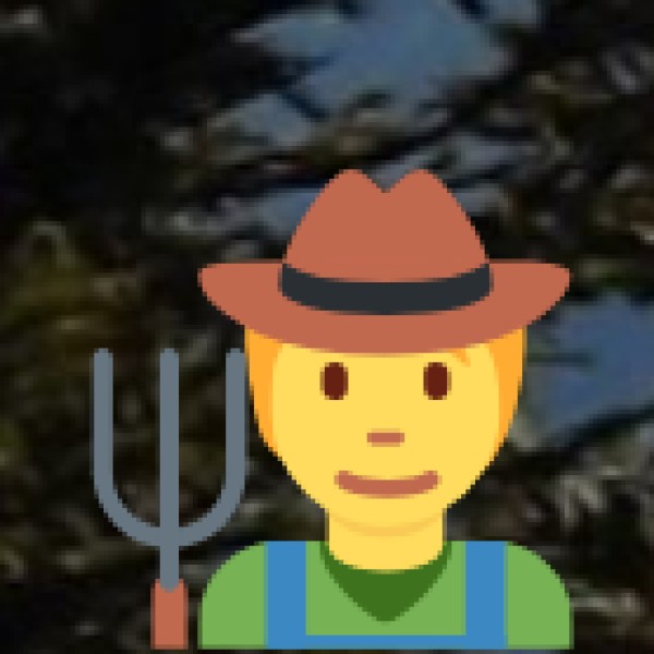 Tasting Local Palm Wine (Kallu)