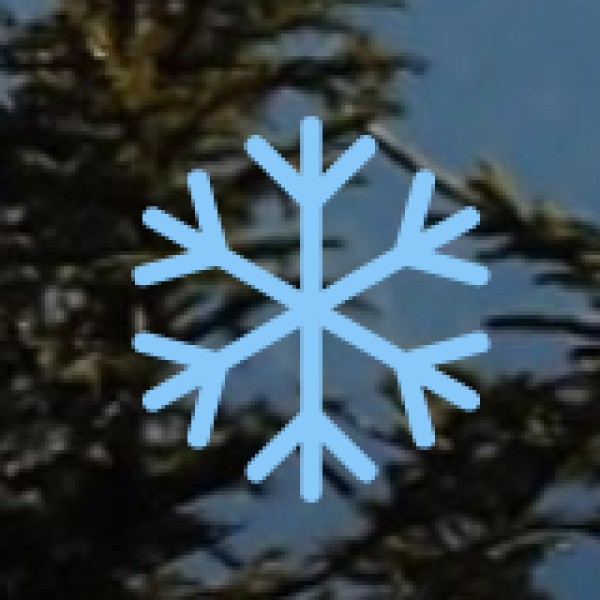 Best Food Markets & Places to Buy Spices