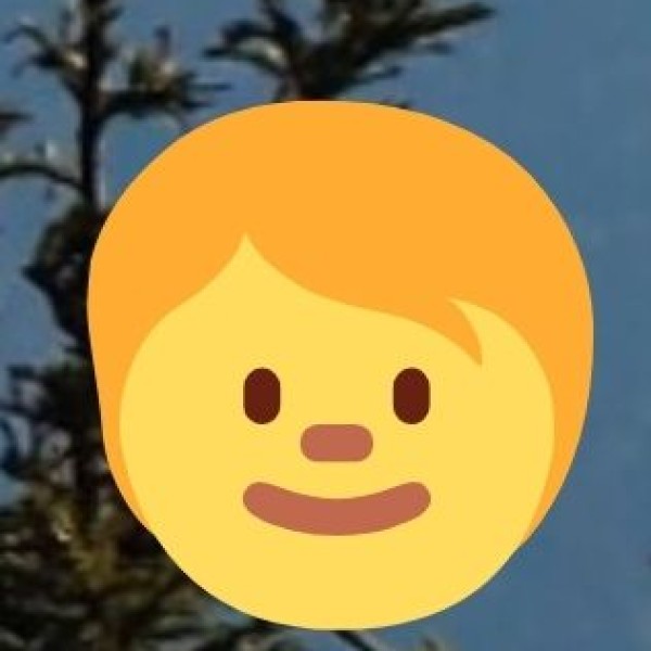 Biryani & Non-Vegetarian Delicacies