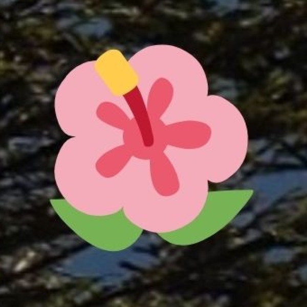 Litti Chokha – A Traditional Bihari & UP Delicacy