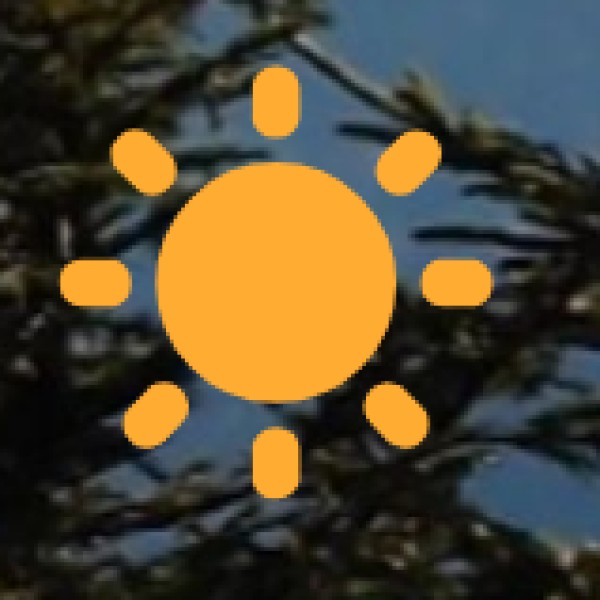 Zardozi Work – Royal Handcrafted Gold Embroidery