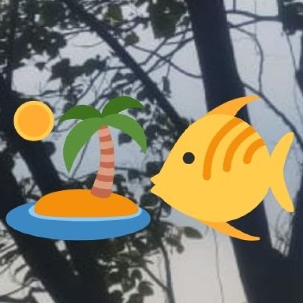 Local Fish Markets