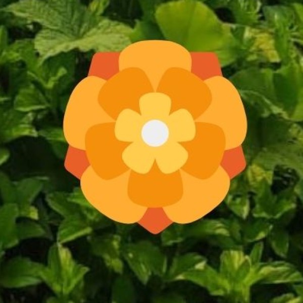 Brass & Metal Handicrafts – A Traditional Souvenir