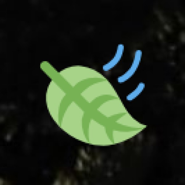 Best Foods to Try in Gorakhpur