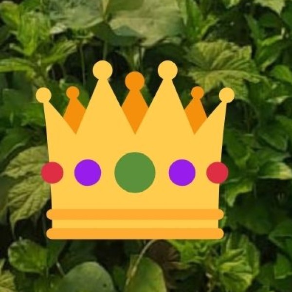 Gulabi Meenakari Jewelry – The Art of Enamel Work