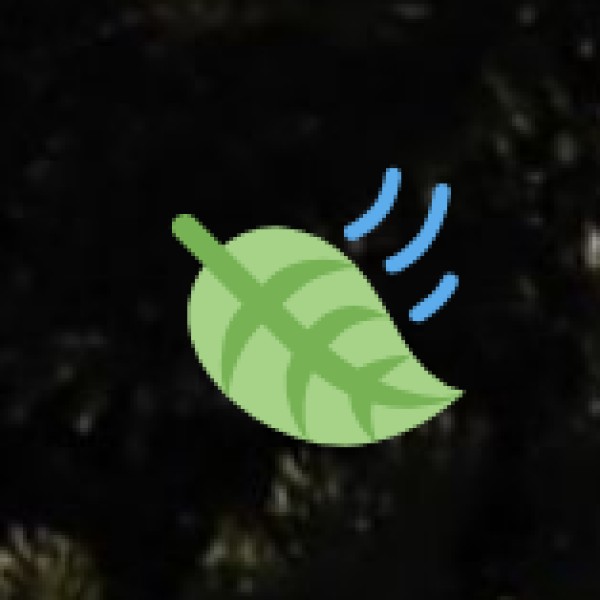 Banana Leaf Meals Experience