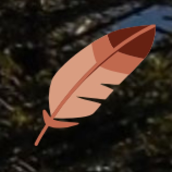 Auto-Rickshaws & Shared Autos