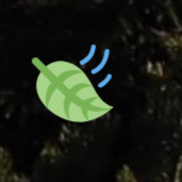 How to Reach Gorakhpur