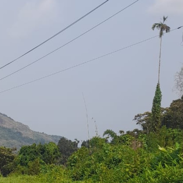 How to Reach