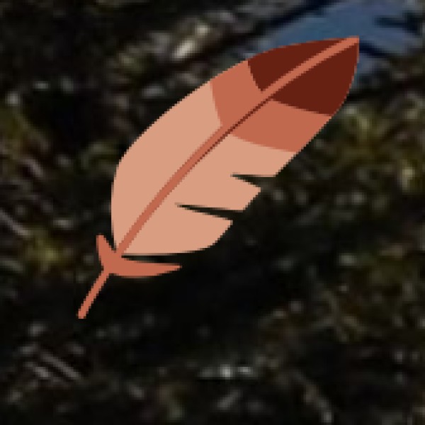 Travel Tips for Visitors to Rajahmundry