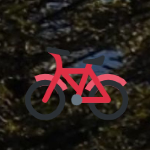 Two-Wheeler Rentals