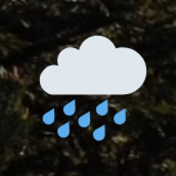 Monsoon Season (June to September) – Green & Refreshing