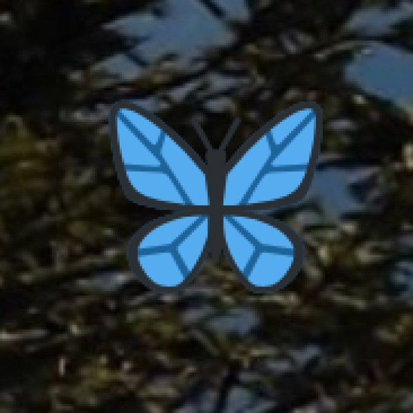 Local Transport in Varanasi