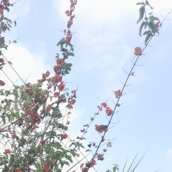How to Reach