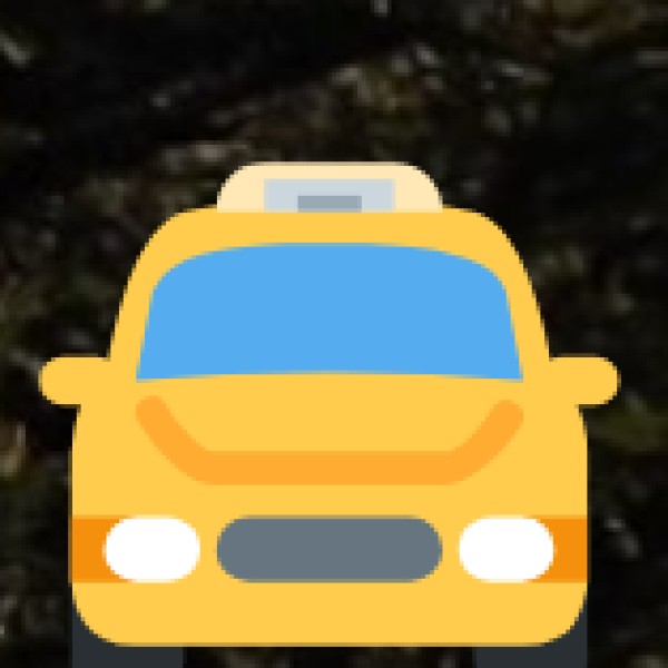 By Private Vehicle or Cab