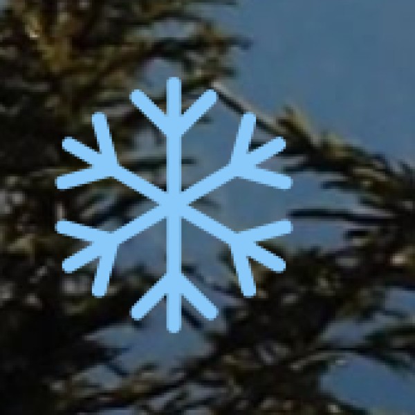 Local Transport in Tirupati