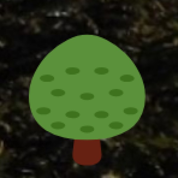 Local Transport in Agra