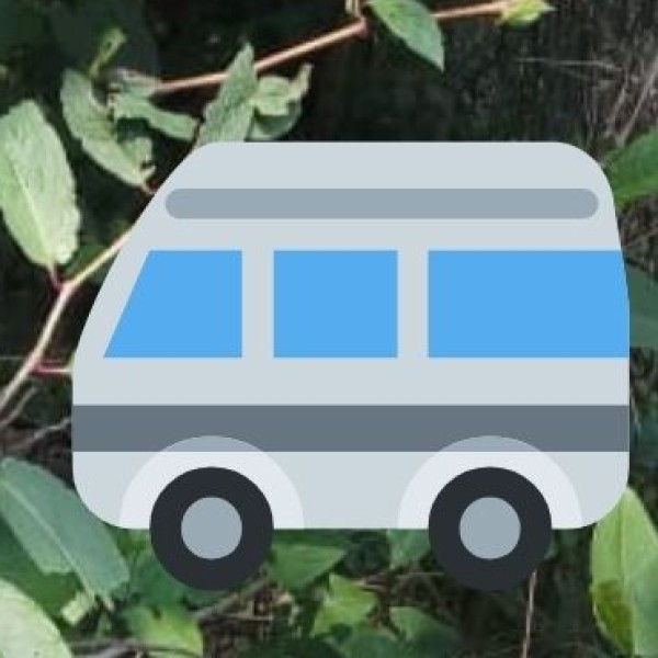 By Road – National Highways & Bus Services