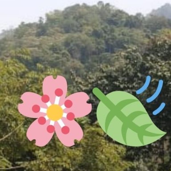 Best Travel Option Based on Your Preference