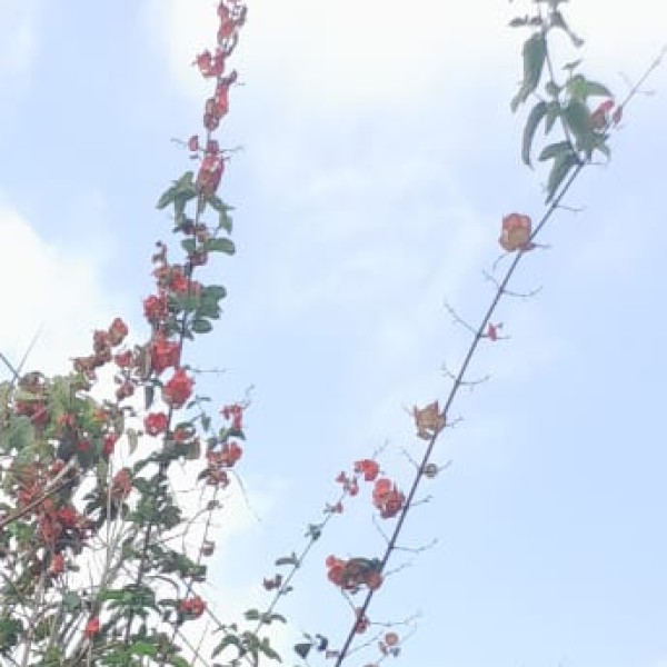 How to Reach