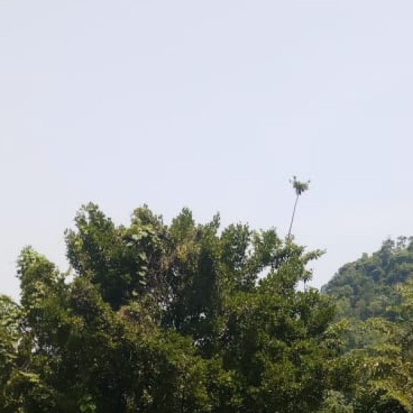 How to Reach