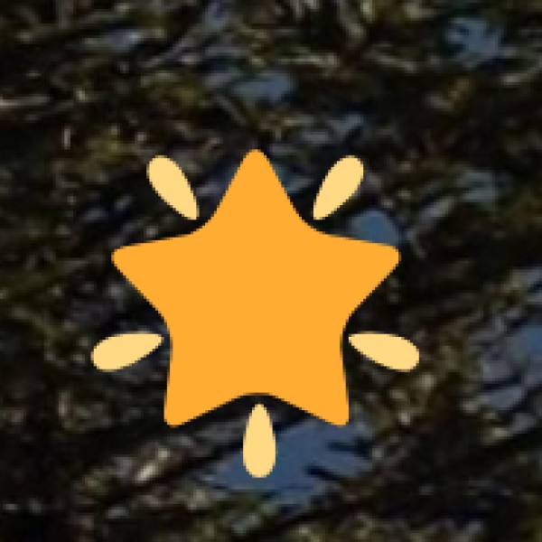 Best Ways to Travel Around Vizag for Tourists