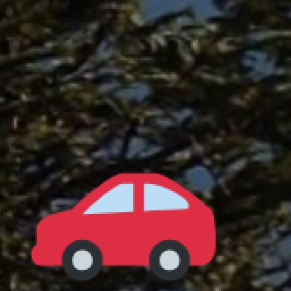 Bus Services to Lucknow