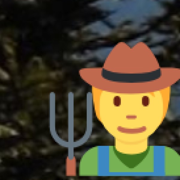 By Road (National Highway NH-16)