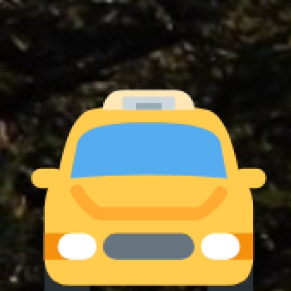 Bus Services