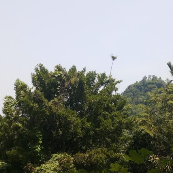 How to Reach