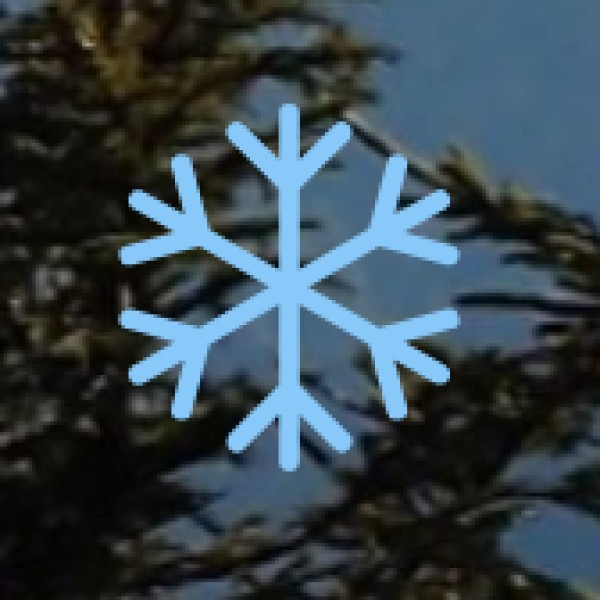 Local Transport in Bareilly