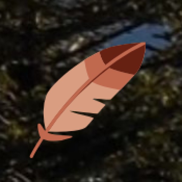 Best Ways to Travel in Vijayawada