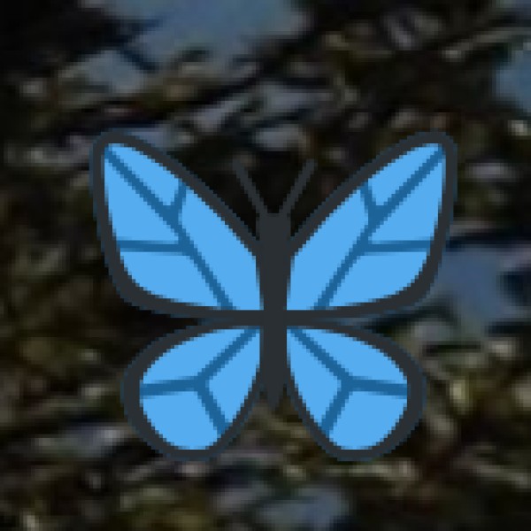 International Flights to Lucknow